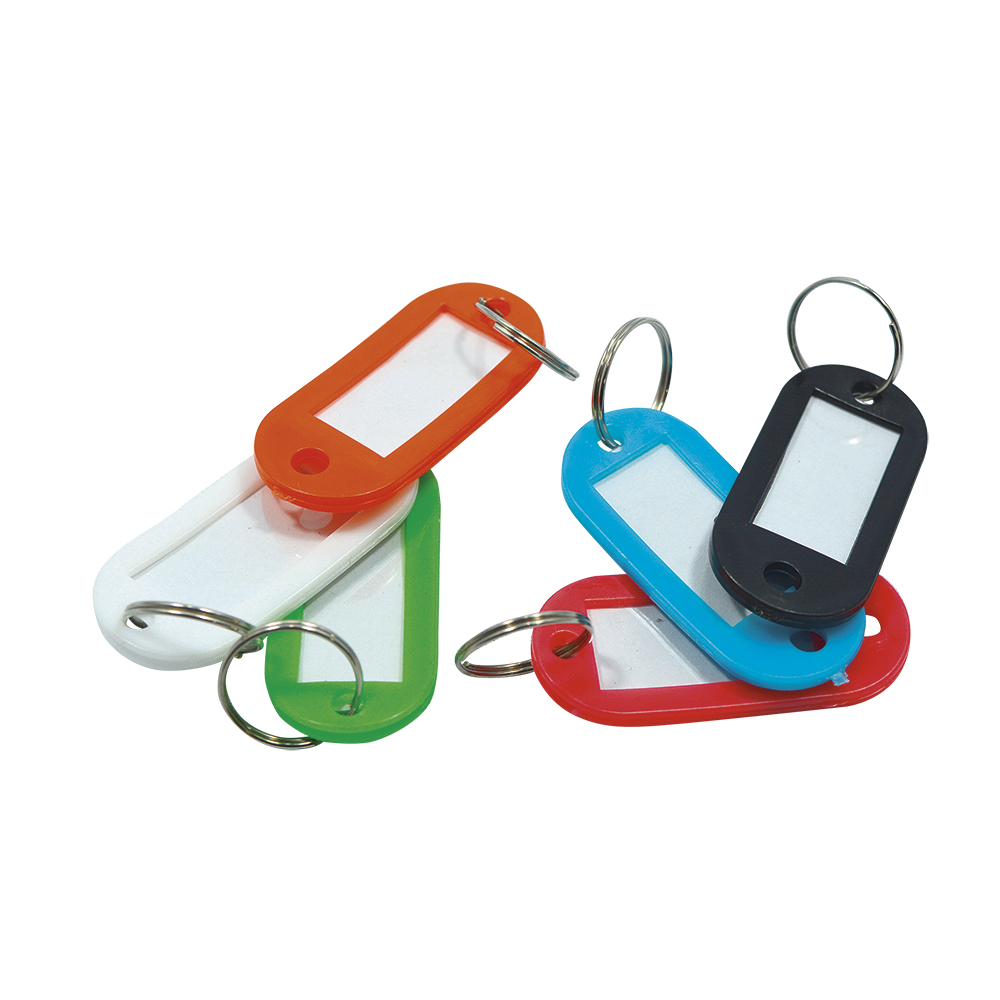 [F01901] Llaveros Plasticos Normal(blister/6pcs). Colores Surtidos. 6 Pzas