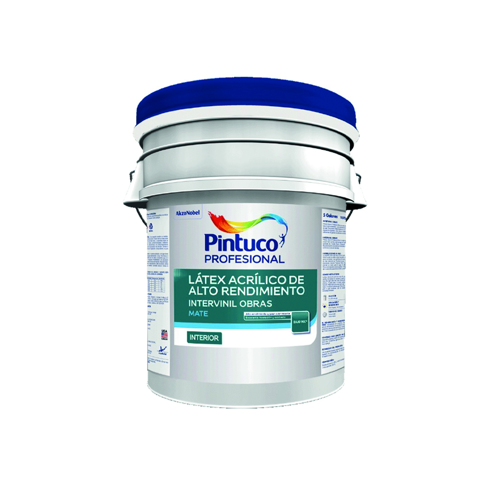 [A14113] Intervinil Profesional Obras Blanco 5 Gl (18. 925l)