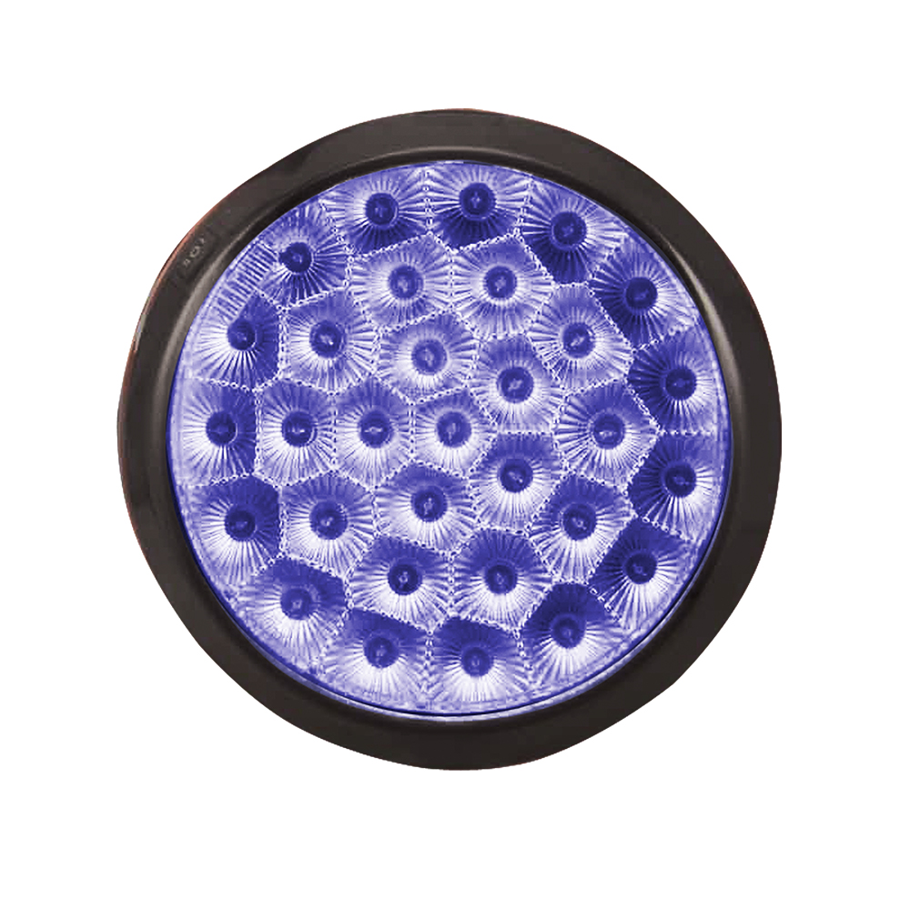 [R02725Z] Lampara Interior 37 Leds Azul. 12v