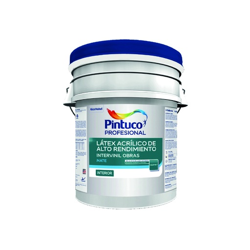 Intervinil Profesional Obras Blanco 5 Gl (18. 925l)