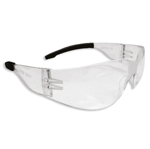 Anteojo Protector Plastico. Transparente